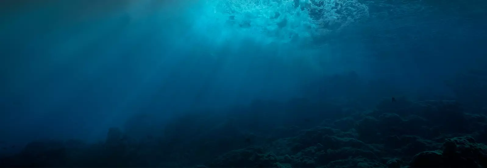ocean