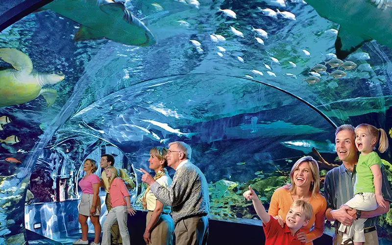 Ripley's Aquarium in Myrtle Beach