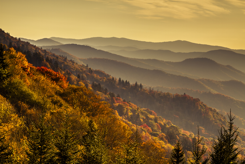 fall foliage in the Smoky Mountains