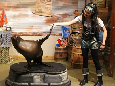 home_animal-encounter